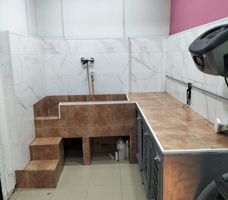 WhatsApp Image 2026-03-06 at 7.02.44 AM (1)