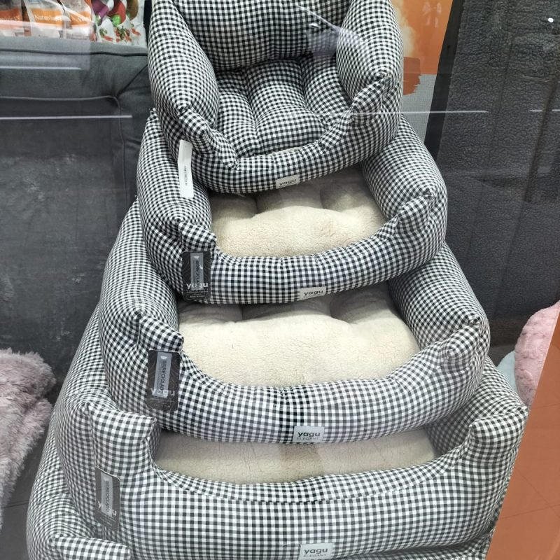 WhatsApp Image 2026-03-06 at 7.02.47 AM (2)